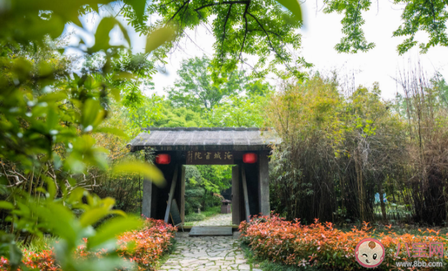 武汉踏青5个好去处 户外踏青要注意什么 武汉踏青5个好去处 户外踏青要注意什么