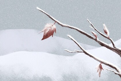 大雪节气的含义及风俗 大雪有哪些禁忌 大雪节气的含义及风俗 大雪有哪些禁忌