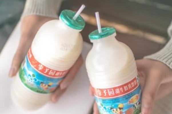 李子园牛奶能补什么 李子园牛奶能解酒吗 李子园牛奶能补什么 李子园牛奶能解酒吗