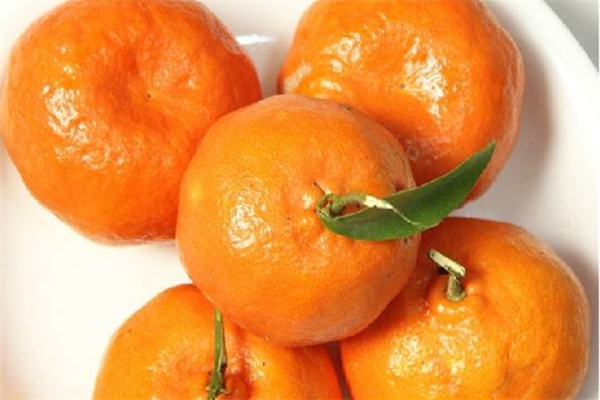 芦柑糖尿病人能吃吗 芦柑含糖量高吗 芦柑糖尿病人能吃吗 芦柑含糖量高吗