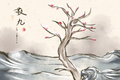 2022年数九是哪一天 从哪一天开始到哪一天结束 2022年数九是哪一天 从哪一天开始到哪一天结束