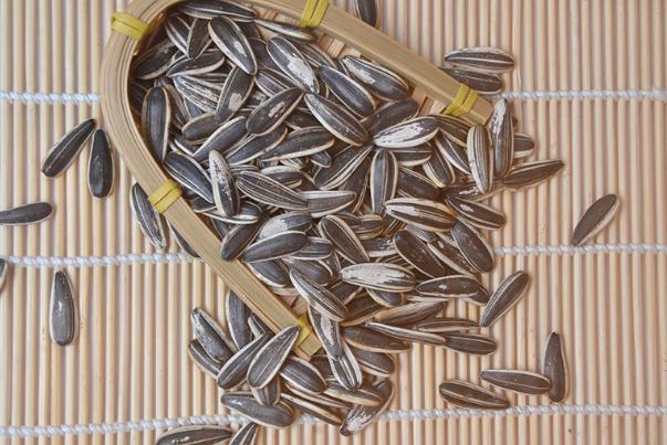 葵花子对胃好吗 葵花子对肝脏有害处吗 葵花子对胃好吗 葵花子对肝脏有害处吗