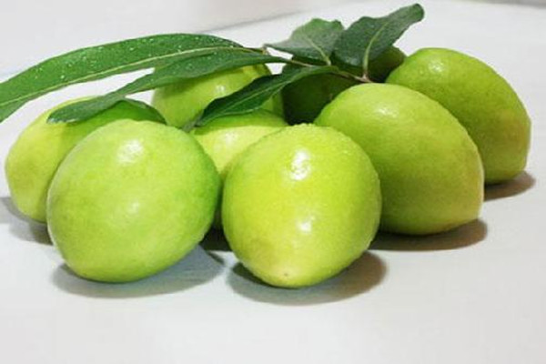 青枣怎么挑选好吃 青枣怎么保存时间长 青枣怎么挑选好吃 青枣怎么保存时间长