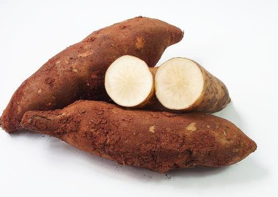 雪莲果怎么保存不会坏?雪莲果怎么不甜