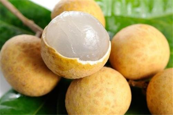 龙眼是干的还是湿的 龙眼的功效和作用