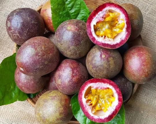 百香果黄叶掉叶如何解决?百香果怎样才能过冬不怕霜冻