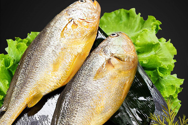 黄花鱼的作用和功效 黄花鱼可以炖汤吗 黄花鱼的作用和功效 黄花鱼可以炖汤吗