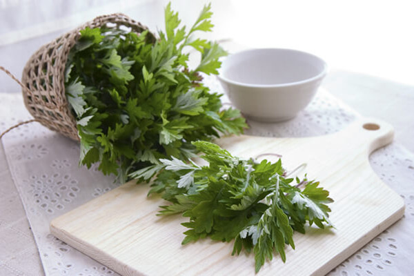 艾叶可以泡酒喝吗 艾叶泡酒是干的好还是新鲜的好 艾叶可以泡酒喝吗 艾叶泡酒是干的好还是新鲜的好