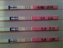 排卵试纸怎么使用2