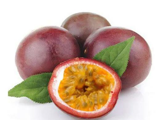 百香果黄叶掉叶如何解决?百香果怎样才能过冬不怕霜冻