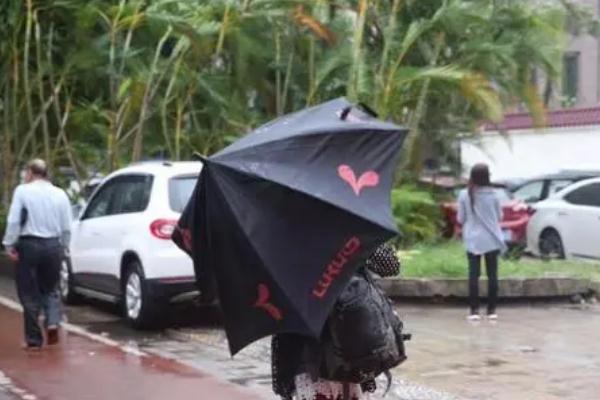 台风会下雨吗 台风会带来什么天气