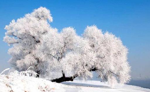 2022年三九天从什么时候开始 三九天喝什么汤好