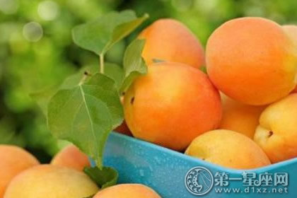 饮食文化 饮食文化