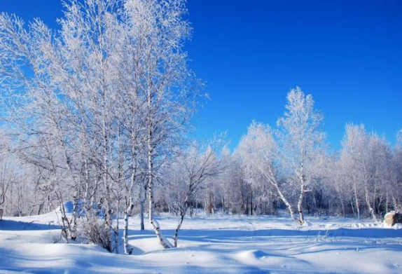 今年冬天会特别冷吗2