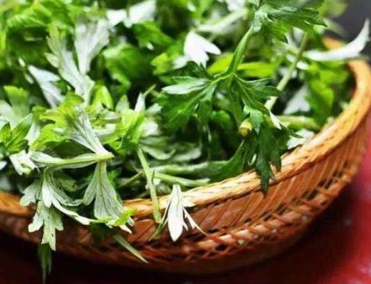 艾叶包泡脚要煮开吗?艾叶能和花椒一起煮水泡脚吗