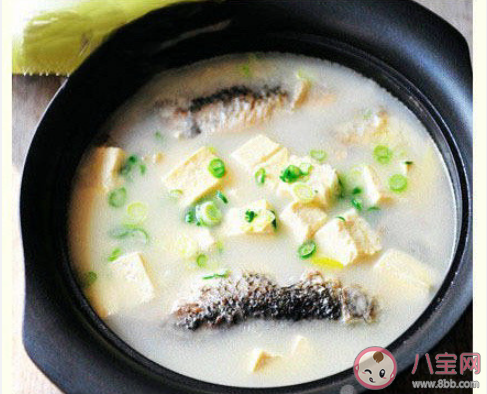 如何炖出奶白鲜美的鱼汤 鱼汤怎么做好喝