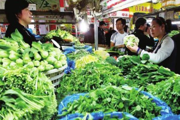 蔬菜是植物类吗 蔬菜是酸性还是碱性食物 蔬菜是植物类吗 蔬菜是酸性还是碱性食物