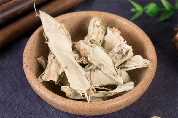 仙人掌泡水喝能降血糖吗 仙人掌泡水喝有什么功效 仙人掌泡水喝能降血糖吗 仙人掌泡水喝有什么功效