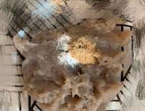 虾滑汤的做法 6个步骤快速做好2