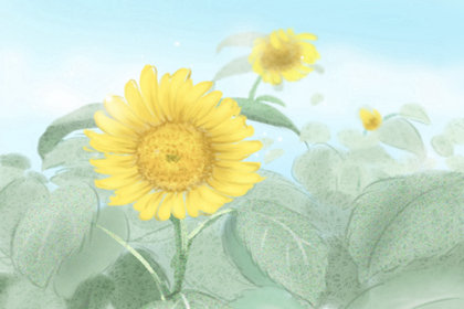 靳贤书烧饼 靳贤书烧饼