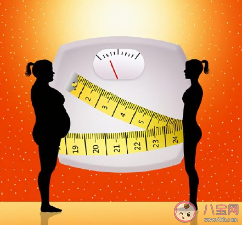 减脂的关键到底是什么 脂肪该如何减掉呢 减脂的关键到底是什么 脂肪该如何减掉呢