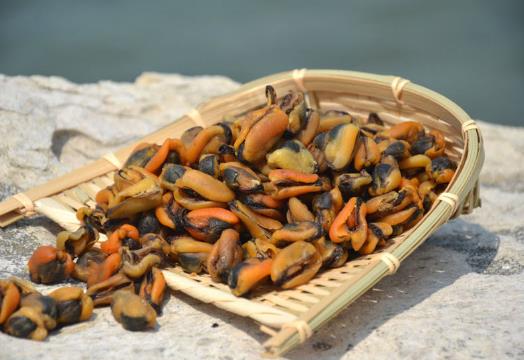 淡菜干是下奶的还是回奶的?淡菜干为什么容易碎