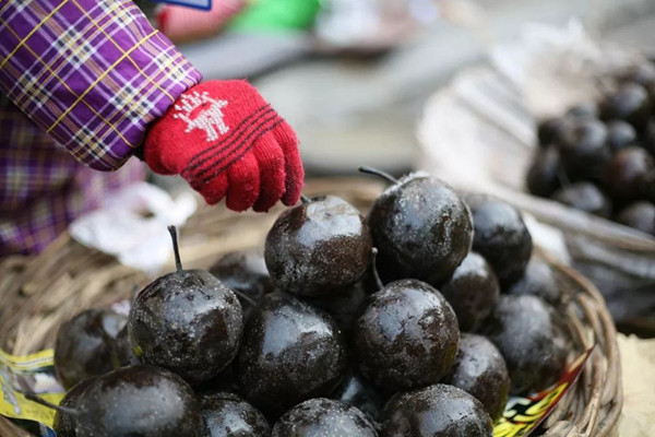 冻梨是什么梨冻的 冻梨怎么制作 冻梨是什么梨冻的 冻梨怎么制作