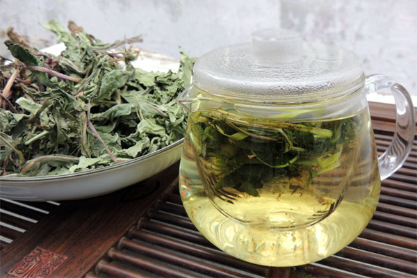 蒲公英茶泡多久就不能喝了 蒲公英茶可以隔夜喝吗 蒲公英茶泡多久就不能喝了 蒲公英茶可以隔夜喝吗