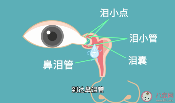 为什么滴眼药水时嘴巴会发苦 如何正确滴眼药水 为什么滴眼药水时嘴巴会发苦 如何正确滴眼药水