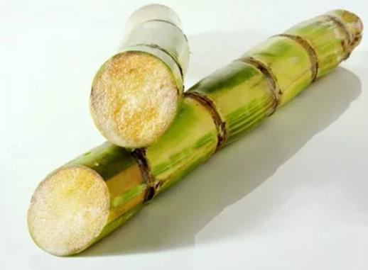 怎么知道自己吃甘蔗中毒了没?肝不好的人能不能吃甘蔗