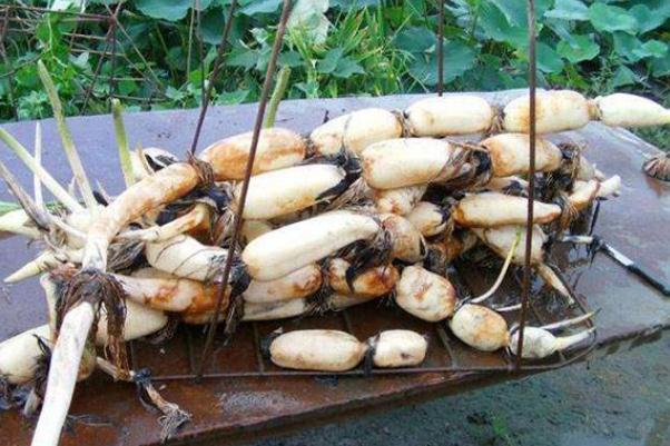 莲藕的嘌呤含量是多少 莲藕的糖分高吗 莲藕的嘌呤含量是多少 莲藕的糖分高吗