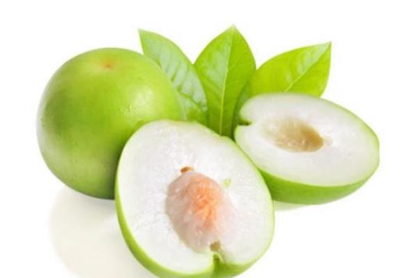 牛奶枣热量 牛奶枣会胖吗 牛奶枣热量 牛奶枣会胖吗