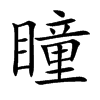 瞳