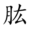 肱