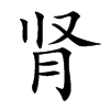肾