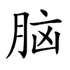 脑