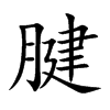 腱