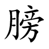 膀