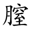膣