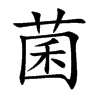 菌