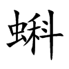 蝌