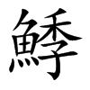 鯚