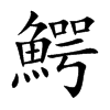 鰐