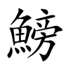 鰟